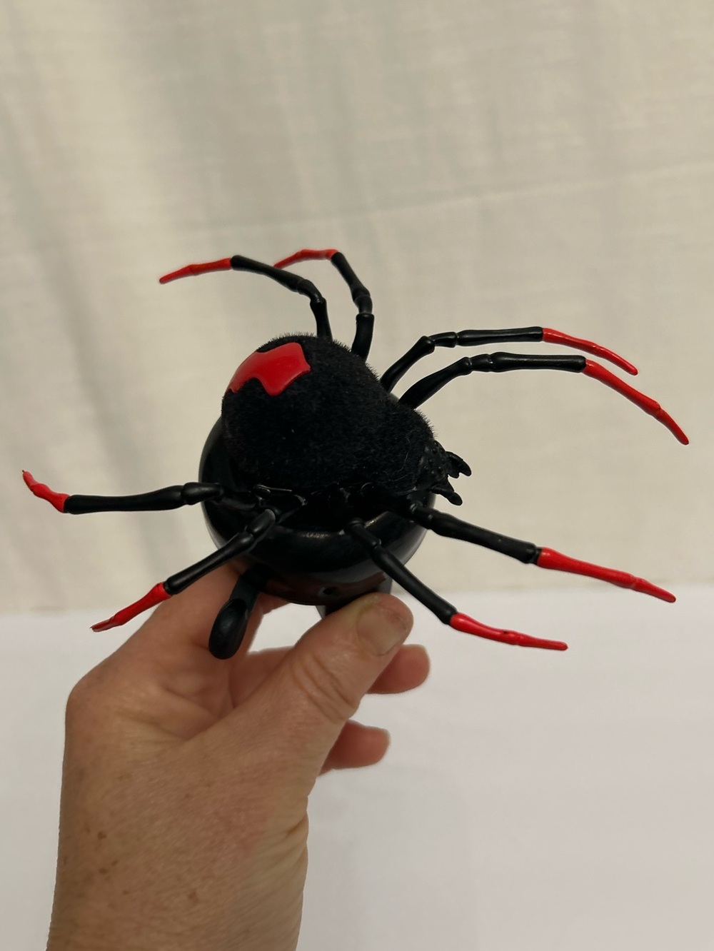 Bike Bell‎ NWT With Upcycled Real Looking X Large Spider Black Widow Toy